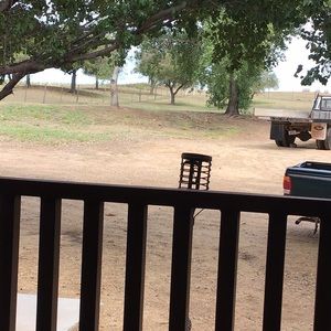 Meet your Posher, Bonnie